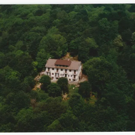 Monte 2*